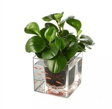 Acrylic Aquarium Plant Pot