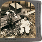 Bauernjunge Billy Goat Stereoview c1899 Bauernhof Kind Baby Keystone Foto D483