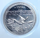 2020 KONGO Prähistorischer Dinosaurier Löwe ALT Beweis Silber 20 Franken Münze i114643