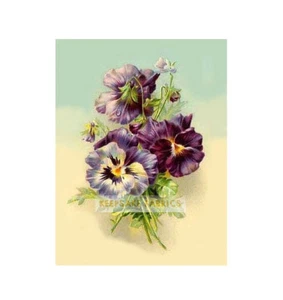 Blocco trapunta fiori bouquet lavanda più misure spedizione gratuita - Foto 1 di 1