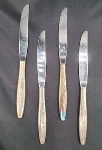 Oneida Community Silverplate Incanto Rosa Gentile Set di 4 Coltelli - Foto 1 di 2