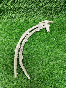 2003 Transformers Armada Unicorn Parts - Picture 1 of 5