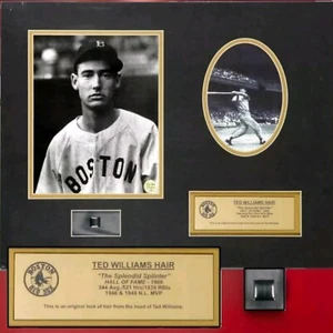 16x20 Ted Williams Hair Sample Display Red Sox Splendid Splinter Reznikoff COA - Picture 1 of 7
