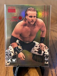 2022 SkyBox Metal Universe AEW Skybox Premium Hangman Adam Page #PP-3 - Picture 1 of 2