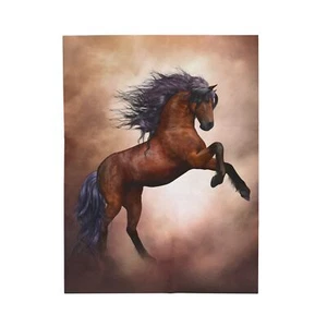Samt Plüschdecke Graceful Stallion 30x40", 50x60", 60x80" Reitsport weich - Bild 1 von 13