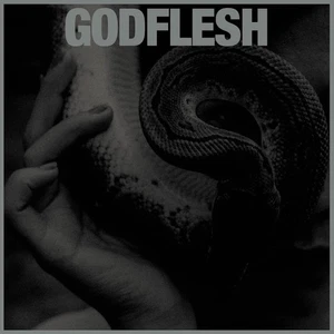Godflesh Purge (Vinyl) (US IMPORT) - Picture 1 of 1