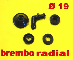 KIT REVISIONE POMPA FRENO RADIALE BREMBO PR19 Ø 19 GOMMINI POMPA RADIALE 19 - Imagen 1 de 1