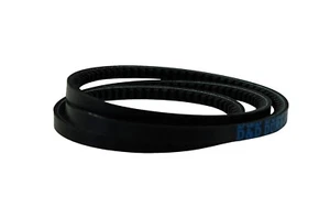 Set di ricambio cintura a V per Champion EFC89614869 - Foto 1 di 1