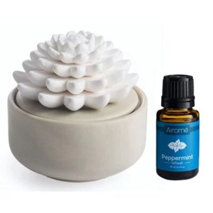 Difusor de aceite Airome (nuevo) SUCULENTO - DIFUSOR DE ACEITE ESENCIAL DE PORCELANA CON ACEITE - Imagen 1 de 2