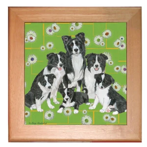 Border Collie Dog Kitchen Ceramic Trivet Framed in Pine 8" x 8" - Picture 1 of 1