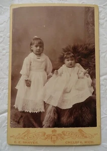 Antique Vintage Cabinet Card 2 Young Girls Lacy Dresses E E Shaver Chelsea Mich - Picture 1 of 4
