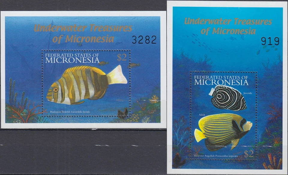 Micronesia 2 S/S Underwater Treasures of Micronesia 2001 MNH-16 euros Foto 1 de 1