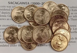 2001 P SACAGAWEA GOLDEN $1 DOLLAR ROLL OF 20 COINS TP-3614 - Picture 1 of 4