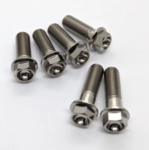 Yamaha TDM850 Titanium brake caliper bolt kit 91 - 01 Ti rotor mounts hex flange - Picture 1 of 6