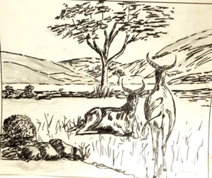 Sketch Drawing Artist Signed  "Sundown Water Hole, South Africa"  Felt Pen 1986 - Bild 1 von 9
