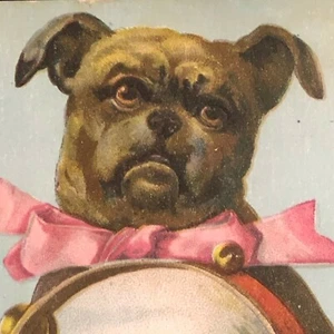 Victorian Trade Card - weiße Marken Nähmaschine - Hund mit Tamburin  - Bild 1 von 3
