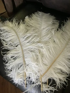 39 piezas. "Preciosas plumas de avestruz blanco esponjoso 17-18"" limpio"  - Imagen 1 de 2