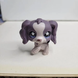 LITTLEST PET SHOP # 672 VIOLA COCKER SPANIEL CUCCIOLO CANE OCCHI DI FIORE 2008 LPS - Foto 1 di 4