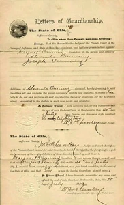 Documento Carta de Tutela 1882 Jefferson County OH Margaret Dunning 3316 - Imagen 1 de 2