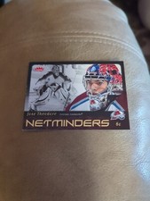 2006-07 (AVALANCHE) Fleer Netminders #N8 Jose Theodore