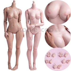 WORLDBOX 1/6 Female Body Plump Hip Leg Figure Girl Doll for 12" Phicen Hot Toys