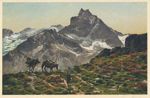 PC18968 Zinal. Alpe de la Lex. Rothorn et le Besso. Gyger. No A 8870 - Picture 1 of 2