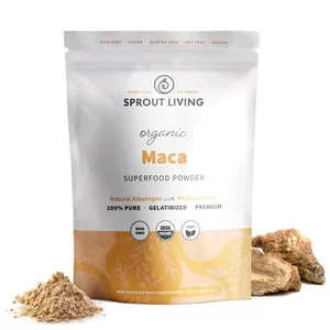 Organic Gelatinized Maca Root Powder, Superfood, Adaptogen, 1 lb - Picture 1 of 6