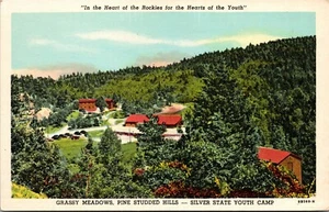 Vtg Sedalia Colorado CO Silver State Youth Camp Pike National Forest Postcard - Picture 1 of 2