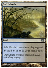 Salt Marsh Eighth Edition Light Play LP MTG Magic the Gathering DNA GAMES