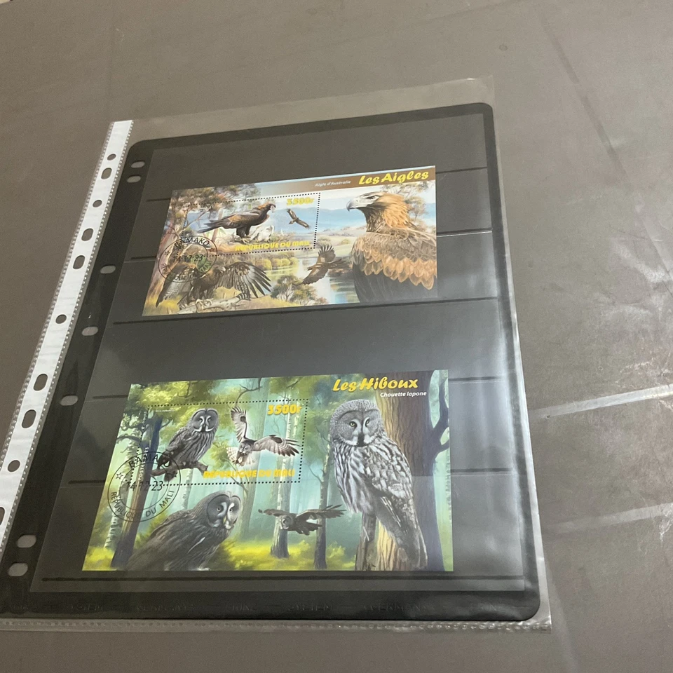 Mini hojas de sello Rep Du Mali X 2 CTO circ 2023 Foto 1 de 1