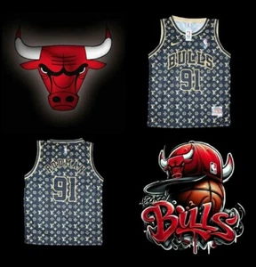CHICAGO BULLS BLACK AND GOLD DENNIS RODMAN 91 JERSEY SMALL - Picture 1 of 6