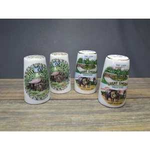 Vintage Travel Souvenir Salt Pepper Shakers Smoky Mountains Ozarks Japan Ceramic - Picture 1 of 8