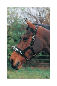 Hy Equestrian Lunge Cavesson Adjustable Lunging Training Aid Small & Large Black - Picture 1 of 2