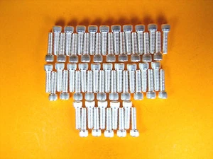 Stainless Steel Silver Plated Socket Head Screws 1/4-20 x 7/8" Lot of 50 - Picture 1 of 6