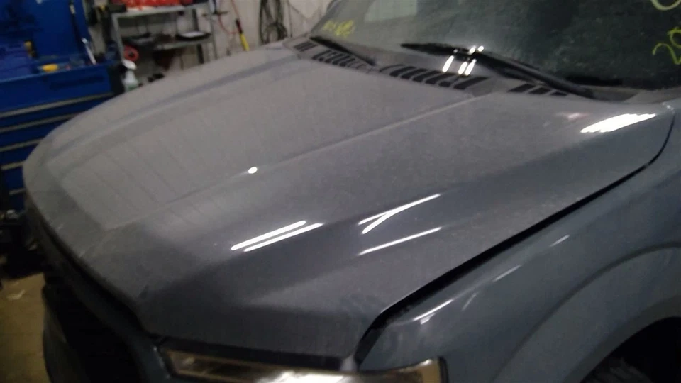 Gray Hood Fits 15-20 FORD F150 PICKUP 10315560 - Image 1 of 4