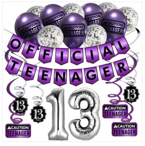 Funny OFFICIAL TEENAGER 13th Birthday Party Pack - Purple 13th Birthday Party... - Picture 1 of 7