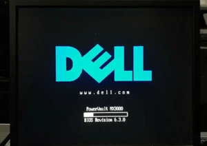 NAS DELL PowerVault NX3000 Doble XEON E5620 @ 2,40 GHZ 12 GB DDR3 PERC H700 SIN SISTEMA OPERATIVO - Imagen 1 de 8
