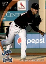 2017 Jupiter Hammerheads Grandstand #14 Felipe Gonzalez Guadalupe Mexico MX Card