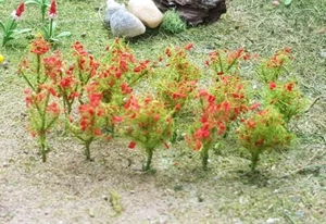 MP SCENERY 30 Red Poppies N Gauge 1/4" Tall Model Flower Plants Farm Layout - Picture 1 of 4