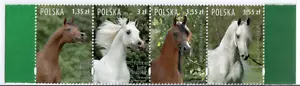 Polen 2007 Streifen mit 4 Briefmarken Polnische Araber Pferde postfrisch - Bild 1 von 2