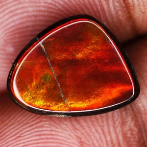 7.63Ct Fair Fancy 12.3X14.8 MM Multi Colors Dancing Canada Natural Ammolite - Picture 1 of 5