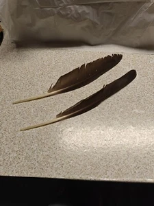 Real Goose Feathers - Picture 1 of 2