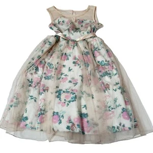 Disney Cinderella Size 14 Girls Dress Sheer Glitter Floral Pink Blue #1968 - Picture 1 of 9