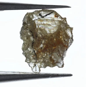 Slice Raw 0.7 Ct 8.28X6.64X1.97 Natural Loose Rough Translucent Diamond Lot - Picture 1 of 1