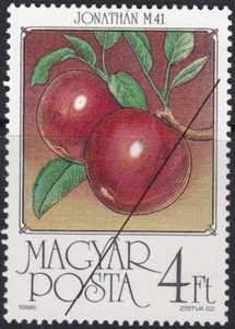 Specimen, Hungary Sc3010 Fruit, Apple - Picture 1 of 1