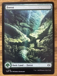 MTG Tarkir Dragonstorm, Forest 0276 - Picture 1 of 1