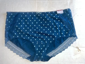 Lane Bryant Cacique 18/20 Blue Poka Dot Stretch Full Brief Panties Lace Trim - Picture 1 of 7