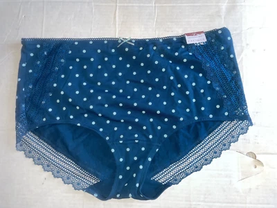 Bragas Lane Bryant Cacique 18/20 Azul Poka Dot Elastizadas Calzoncillos Completos Borde de Encaje Foto 1 de 4