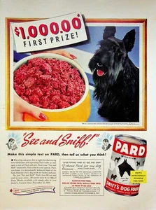 1941 Pard Swift's Dog Food Vintage Print Ad 1940s Scottish Terrier See & Sniff - Picture 1 of 2