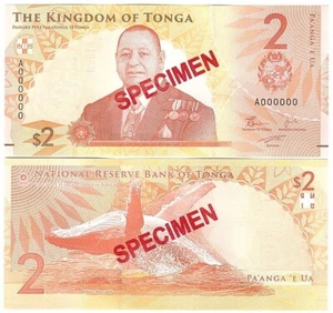 Tonga - 2 Pa'anga 2023 UNC P. 50s - Specimen Lemberg-Zp - Picture 1 of 1